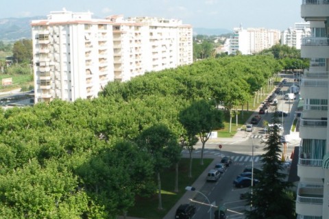 Appt espagnol à Valence — photo 3