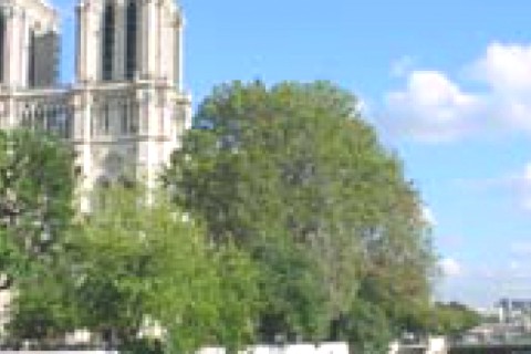 Paris hyper centre Appartement typique parisien- Versailles style — photo 10