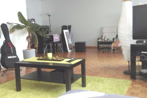 Magnifique appartement en Suisse — photo 3