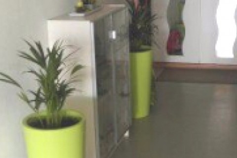 Magnifique appartement en Suisse — photo 5