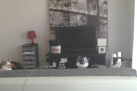 Appt avec jardin à 5mn de la mer — photo 3