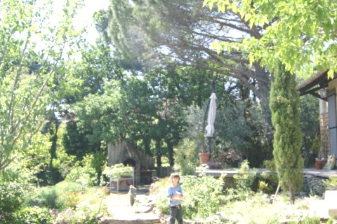 Belle maison avec jardin dans le Sud de la France — photo 3