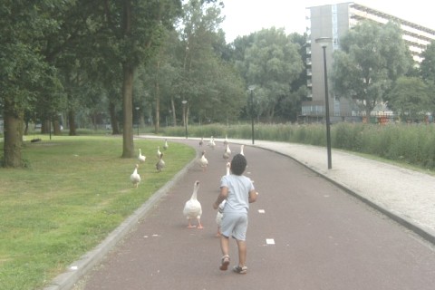 Appt à Amsterdam — photo 11