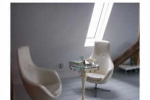 5000 sqf renovated 1800's barn in r... — photo 4