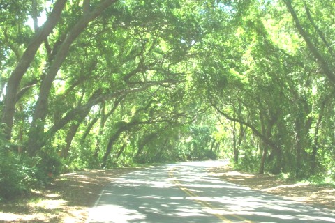 Villa en Floride — photo 17
