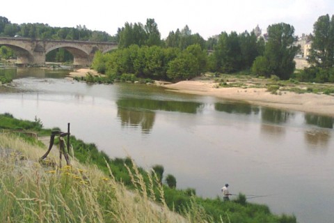 Grande maison en bord de Loire — photo 13
