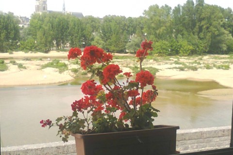Grande maison en bord de Loire — photo 12