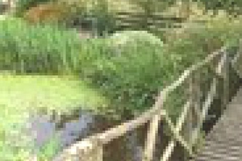 Charmant cottage au Royaume-Uni — photo 8
