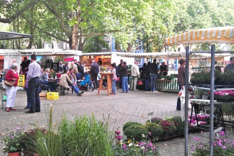 Joli appt à Düsseldorf — photo 19