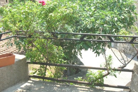 Maison dans le Lubéron — photo 11