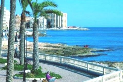 Apartamento a 100 m de la playa en Torrevieja — photo 7