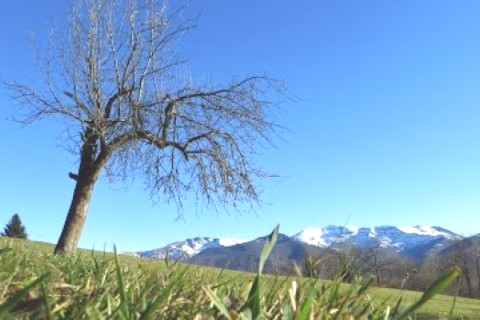 Grande maison avec vue magnifique sur les Pyrenées! — photo 2