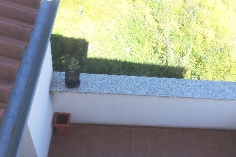 Maison en Estrémadure — photo 27