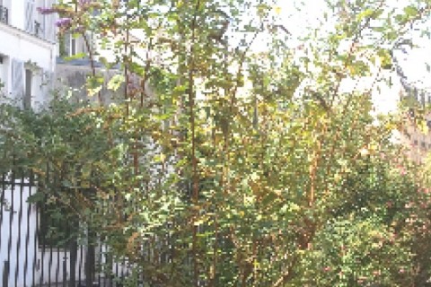 Joli appartement quartier fleuri animé près de Montparnasse, à 20mn coeur Paris et tour Eiffel — photo 6