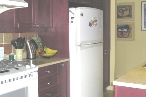 Bel appartement à 3 km de Montréal — photo 2