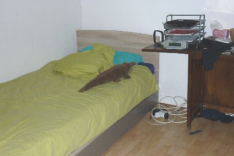 Appartement familial en région parisienne — photo 11