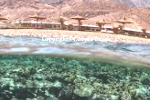Casa fronte mare scambio con vacanze sulla neve — photo 13