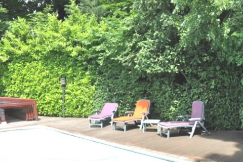 Magnifique demeure de 400m2 en France — photo 4