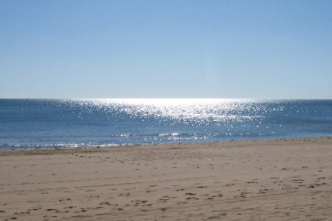 Apartamento en la playa con piscina, gimnasio, jacuzzi, paddel, piscina cubierta... — photo 21