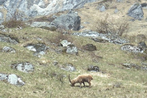 Maison à la montagne en Savoie — photo 19