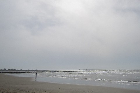 Appt proche plage Marina Port Camargue — photo 7