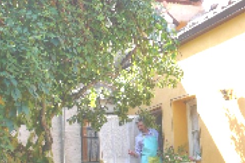 Casa antigua restaurada a 3 km de Segovia — photo 3