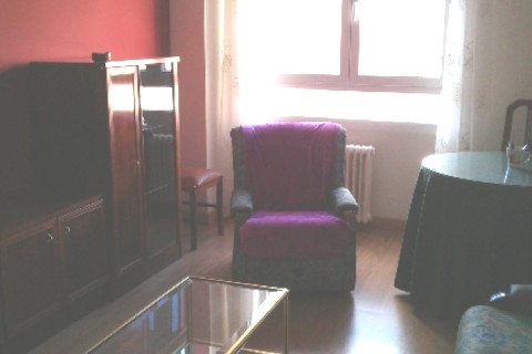 Bonito apartamento enfrente del museo de escultura — photo 19