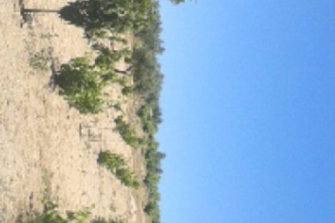 chalet en el campo — photo 5