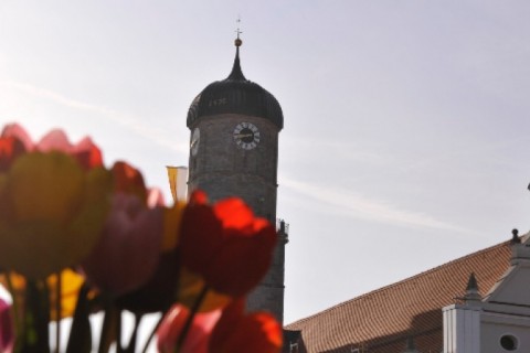 Altbauwohnung in 5-Seen -Land — photo 4