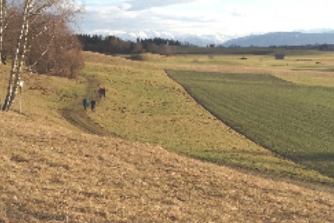 Altbauwohnung in 5-Seen -Land — photo 7