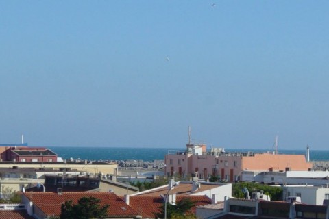appartement vue mer et collines, 100 m de la plage à pied, lumineux et calme — photo 7