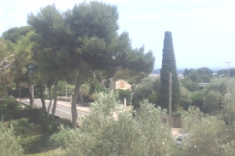 Duplex à Antibes — photo 13