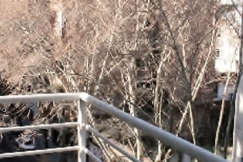 Lightfull and comfortable 2 bedroom apartment in Buenos Aires — photo 10