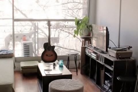 Lightfull and comfortable 2 bedroom apartment in Buenos Aires — photo 2