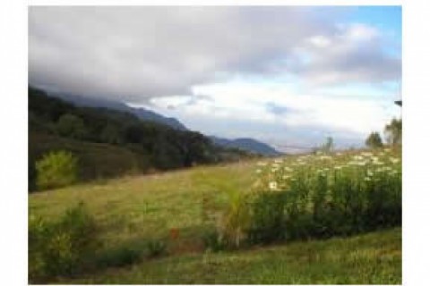 ESTá CERCA DE SAN JOSé ES ECOLóG... — photo 3