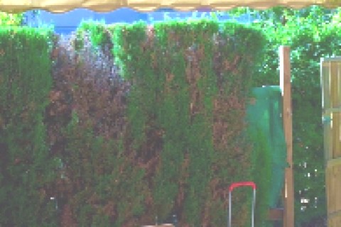 Casa cerca de la playa — photo 9