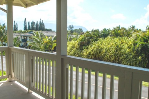 Kauai Hi Swap — photo 12