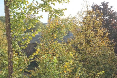 Large neoclassical, calm and sunny flat in the middle of the city — photo 3
