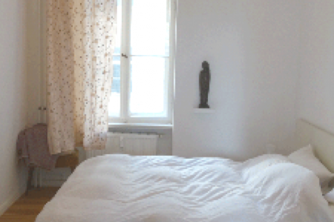 Large neoclassical, calm and sunny flat in the middle of the city — photo 6