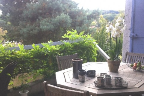 CHARME ET CALME A 6 KM AU SUD DE PARIS — photo 2