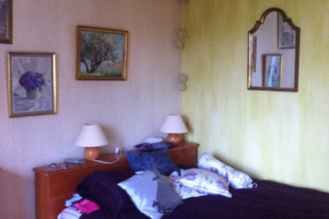 CHARME ET CALME A 6 KM AU SUD DE PARIS — photo 12