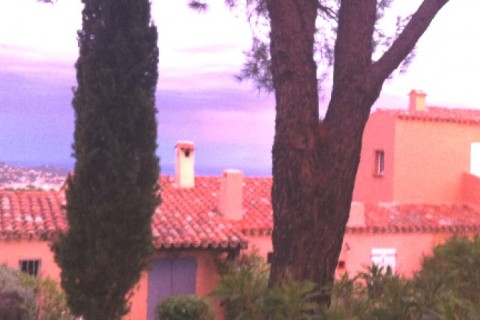 Nid douillet au soleil du var — photo 2