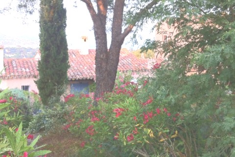 Nid douillet au soleil du var — photo 4