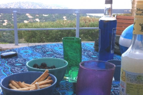 Nid douillet au soleil du var — photo 6