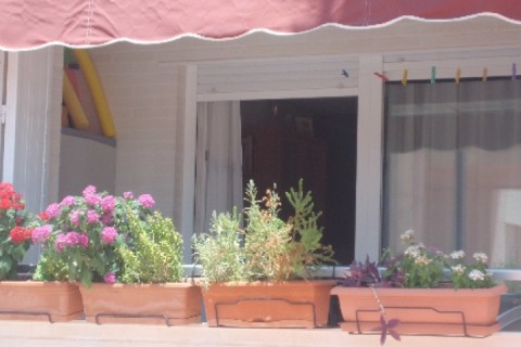 BONITO APARTAMENTO EN PUERTO DE MAZARRON — photo 3