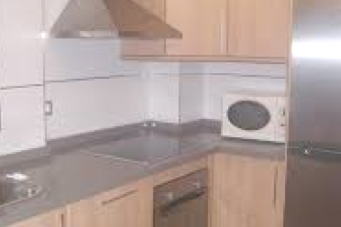 APARTAMENTO EN EL EDIFICIO LINDARAZA — photo 3