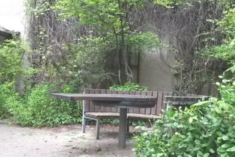 Berlin Apartment, Wheelchair accessible, Garden — photo 4