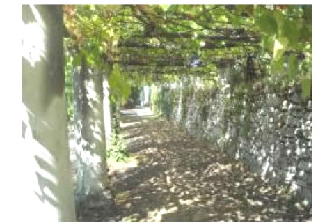 A large ligurian stone house,three ... — photo 13