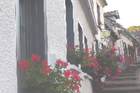 Maison quartier de la montagne — photo 5