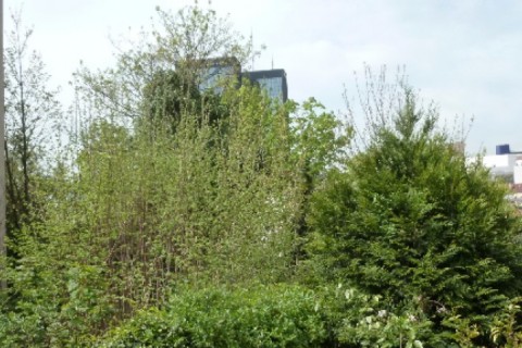 Paris à 5mn - Maison avec jardin calme 5mn du métro, pour 9 personnes max. / Suis intéressée par toutes destinations - vacances scolaires - nous sommes 3 mais voyageons avec des amis ou famille proche — photo 6